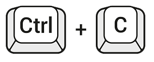 CTR1202771388 170667a.png