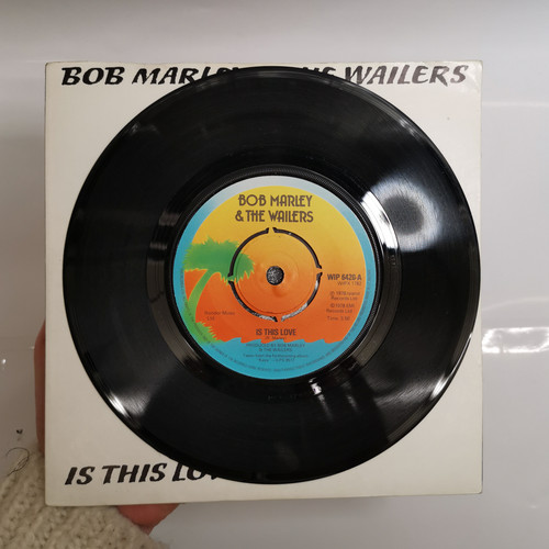 IMG 20230406 150029.jpg