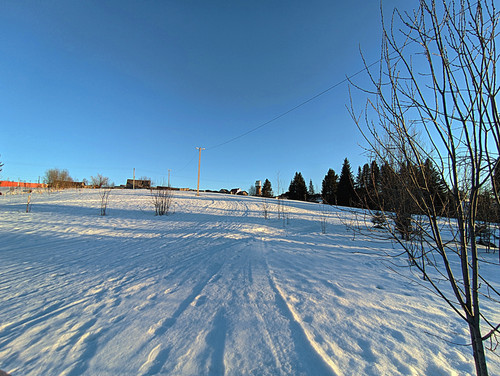 PXL 20230406 2.jpg