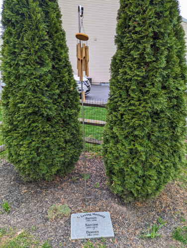 PXL 20230406 194858181.jpg
