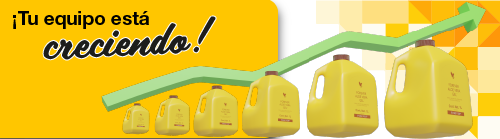 Mesa de trabajo 1.png