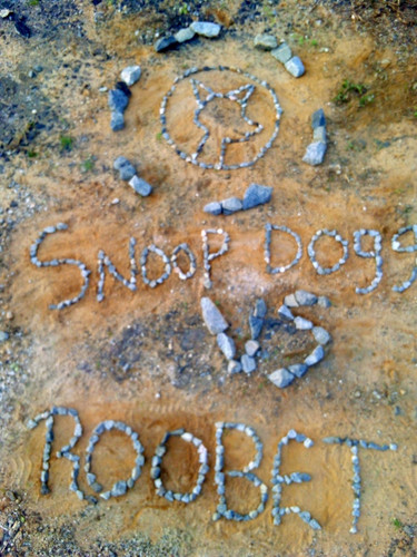 IMG 20230404 WA0031.jpg