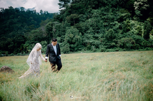 3F19691E 29B1 45EE 9945 15561F8DBCE0.jpg