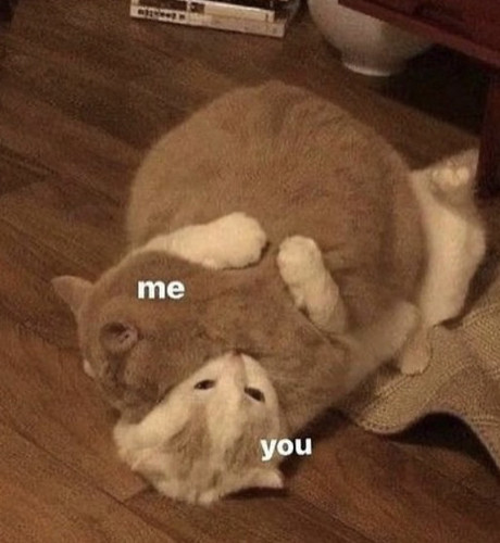 HOYsbj9.jpg