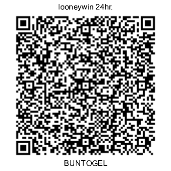 qr (1).png