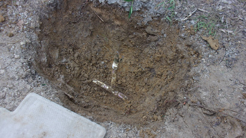 KODAK Digital Still Camera.jpg