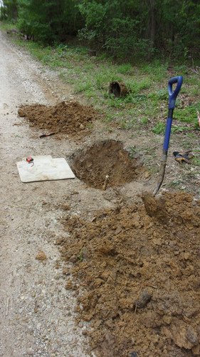 KODAK Digital Still Camera.jpg