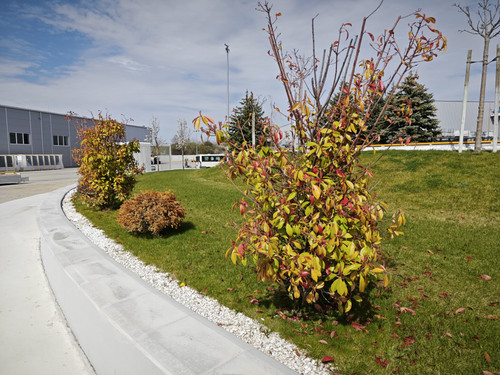 IMG 20230331 115518.jpg