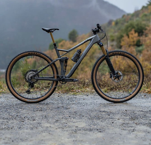 D87DA092 3C27 4E3C 81F3 D994056B4DCA.jpg