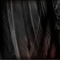 6.png