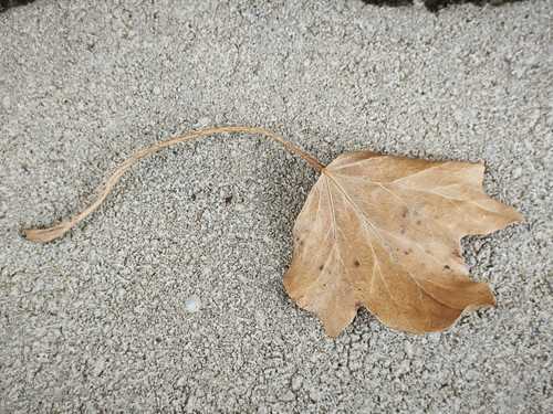 IMG 20230401 160712.jpg