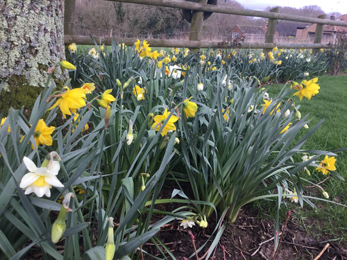 A6629363 6AE9 4381 BD27 E4F61D7B1537.jpg