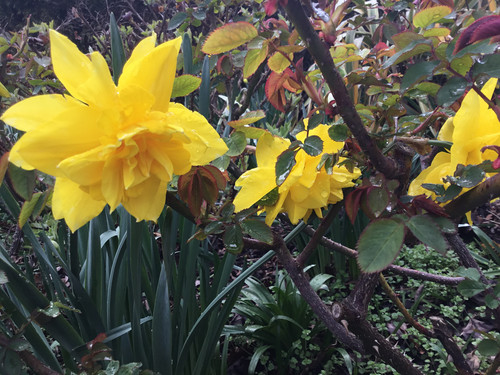 451E52A3 E3C4 4ED7 A8DD 32C1B30D92CF.jpg