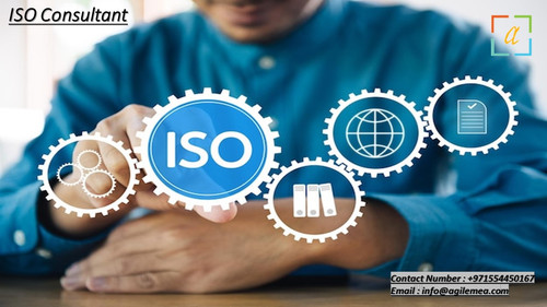 ISO Consultant.jpg