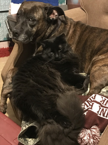 63520939047 8E2C2D23 43FB 4B18 B22A 055EC44D271C