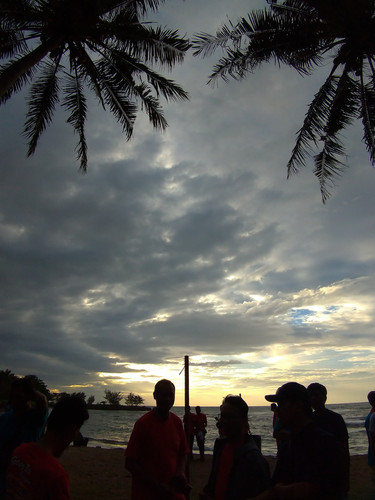 P 20230210 174201.jpg