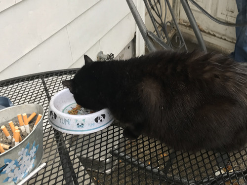 68885464911 740FAB22 F27F 4E34 9A87 64A7747FF7CB