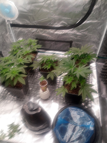 IMG 20230403 014857 479.jpg