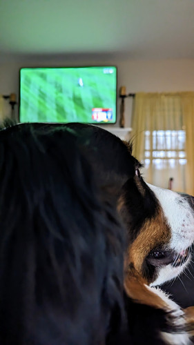 PXL 20230401 222136803.MP~2