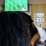 PXL 20230401 222136803.MP~2