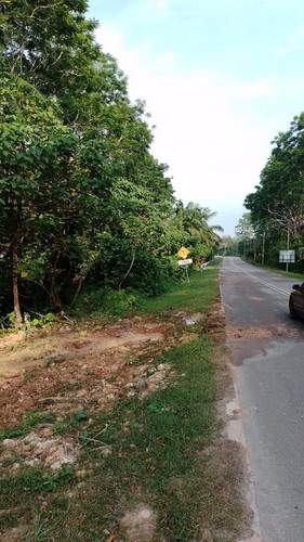 liza tabung haji.jpg