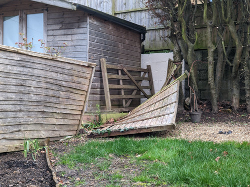 PXL 20230331 180612092.MP.jpg