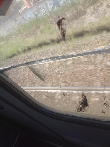 IMG 20230403 121100.jpg