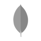 mongodb