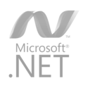 Microsoft Net.png