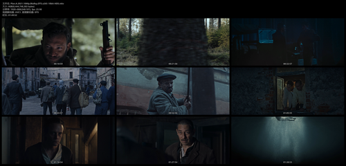 Plan.A.2021.1080p.BluRay.DTS.x265 10bit HDS.mkv.png