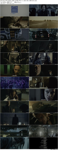 John.Wick.2014.BluRay.2160p.TrueHD.Atmos.7.1.x265.10bit.HDR BeiTai preview.jpg