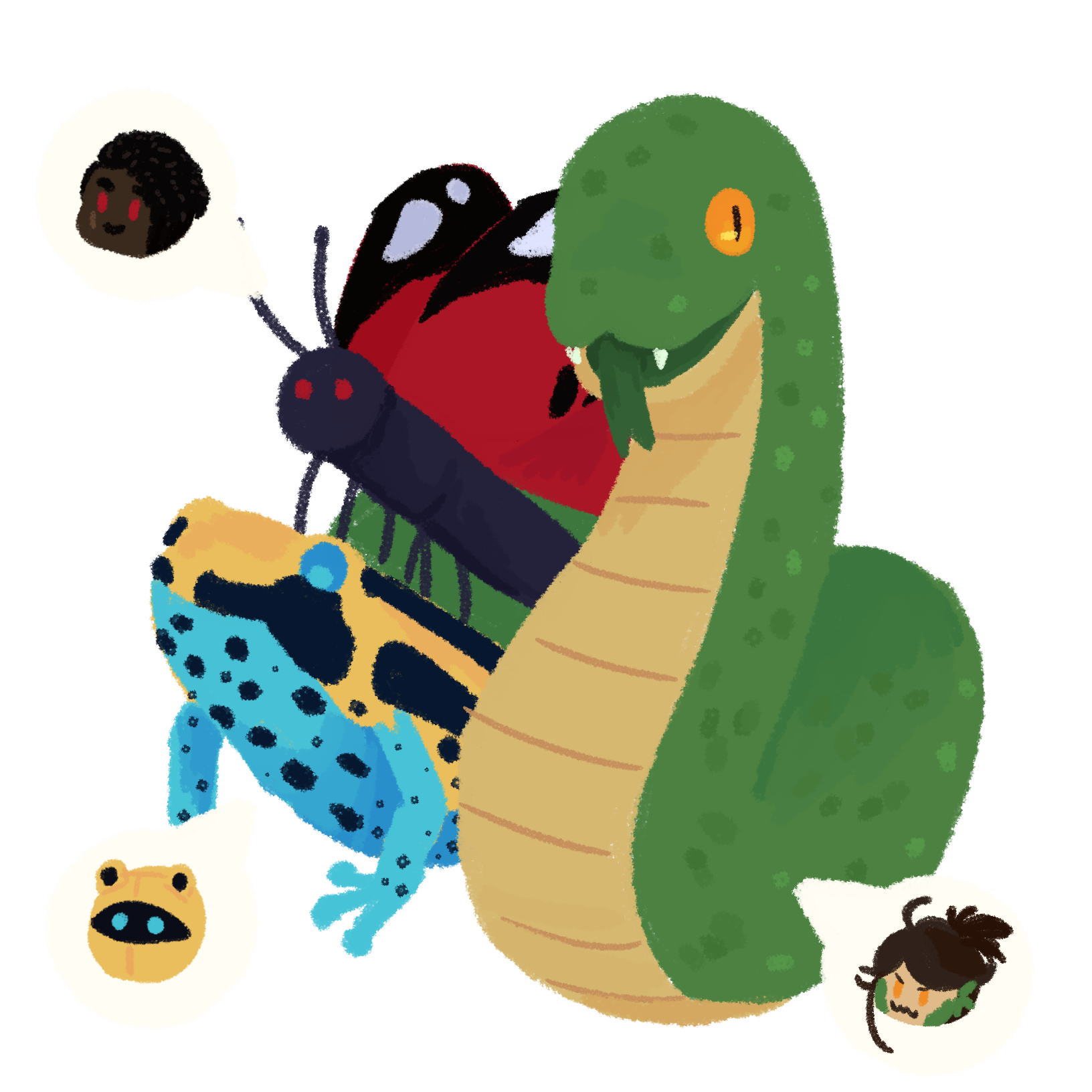 a drawing of a frog, a butterfly, and a snake. there are speech bubble correlating the animals as roxanne, reiner, and rinu.