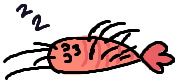 an MS Paint doodle of a sleeping shrimp