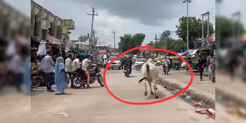 BD600x300 2023 06 20T095537.253.jpg