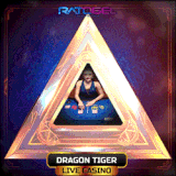 dragon tiger.gif