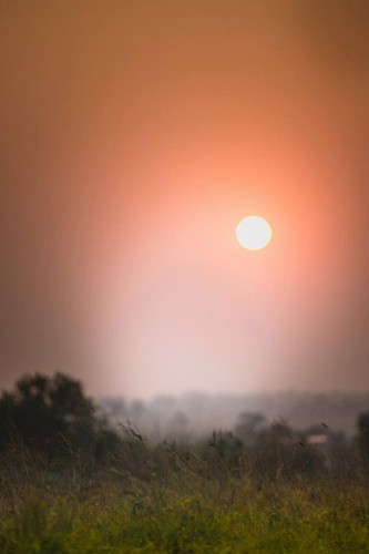 IMG 20230620 WA0006.jpg