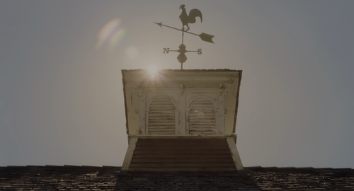 d142e6a31706.png
