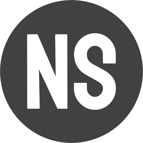 ns low resolution logo color on transparent background.png