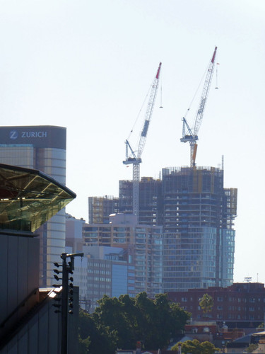 P1000497.jpg