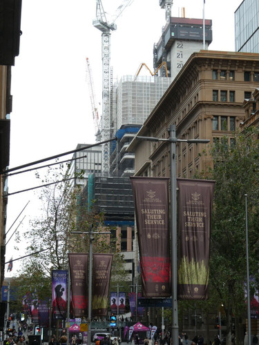 P1000456.jpg