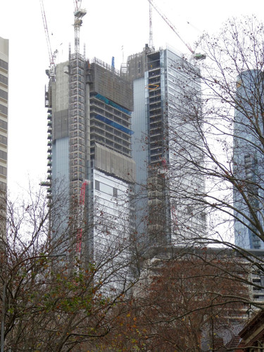 P1000455.jpg