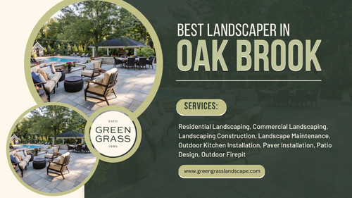 Best Landscaper in Oak Brook Green Grass Landscape.jpg