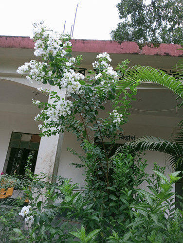 IMG20230615162926.jpg