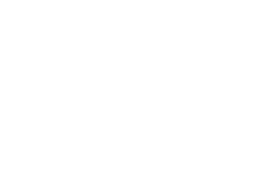 Logos features 2.png