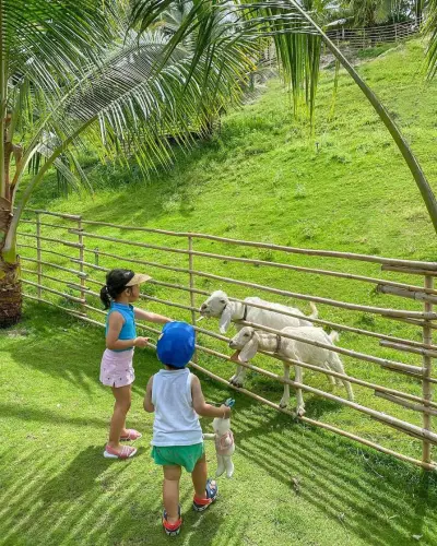 Fusion Farm at Fusion Resort Cam Ranh