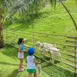 Fusion Farm at Fusion Resort Cam Ranh