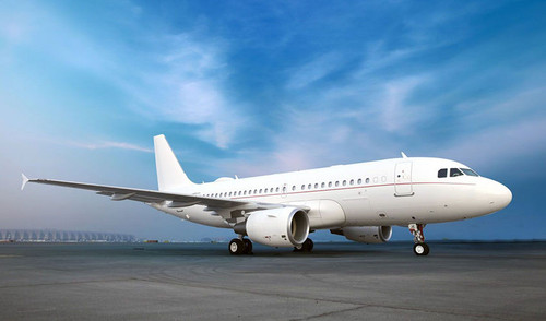 indojetfly Airbus 319 1.jpg
