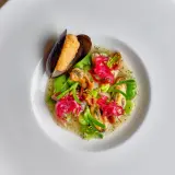 Image 2 Casia Opening (1)