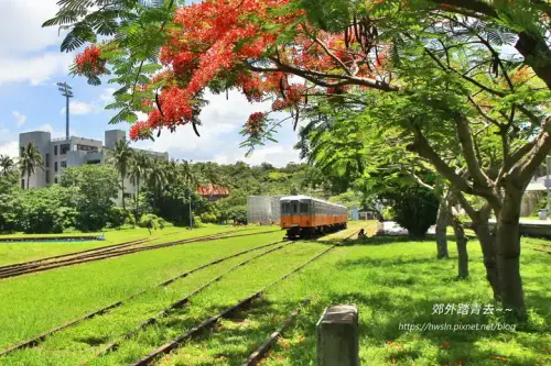 20200606 0704 1.webp