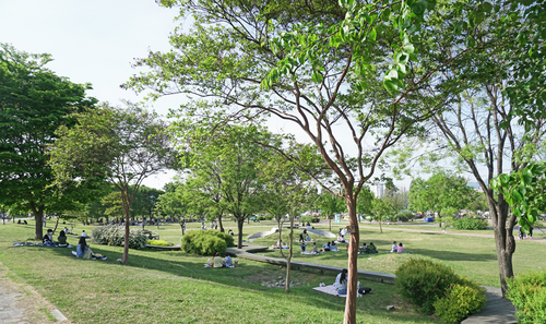 hanriver park.png